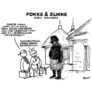 Fokke en sukke kansen cartoon